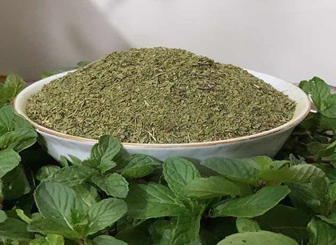 قیمت فروش نعناع بحال خود در بستهبندی عمده